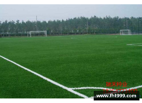 球员滑草坪：打造足球之家